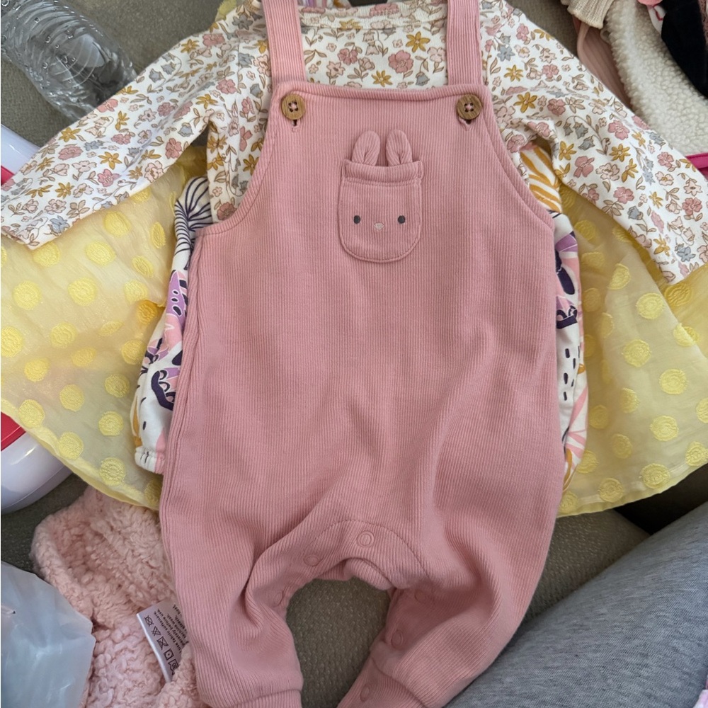 Carter's Pink Overall Set with Floral Top